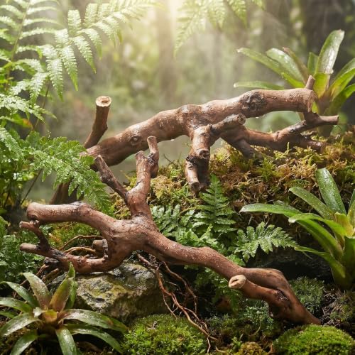 GALPADA 2pcs Reptile Climbing Branches Natural Wood Cork Logs with Smooth Safety Surface and Sturdy Support for Snake and Bearded Dragon Terrarium Decor Enclosures