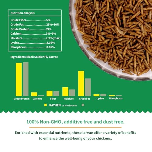 Dried Black Soldier Fly Larvae Treats for Chickens Wild Birds Ducks 20LB | More Calcium Than Mealworms High-Protein Non-GMO Pure Natural - size: 20 Pound (Pack of 1)