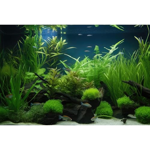 Aquarium Background Diverse Collection of Aquatic Plants Seagrasses Terrarium Background Redwood Root Moss Tropical Style Underwater Plants Fish Tank Background Under The Sea Aquarium Backdrop 24x12in - color: Grass Dark Green, size: 24(W)x12(H)inches/ 60