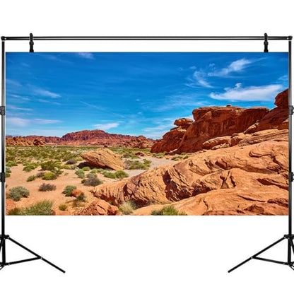 Terrarium Background Red Rocks Reptile Terrarium Background Reptile Tank Background Desert Rocky Bush Thorns Wilderness Reptile Habitat Background Bearded Dragon Tank Aquarium Background 24x12in - color: Oasis Brown, size: 24(W)x12(H)inches/ 60(W)*30cm(H)