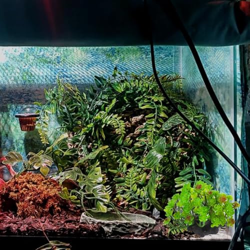 3 PCS Bearded Dragon Tank Accessories, Reptile Hideout Wooden Bridge Hanging Plant Artificial Succulent Plants Terrarium Decor Hiding Climbing for Chameleon Gecko Lizard Snakes Frog