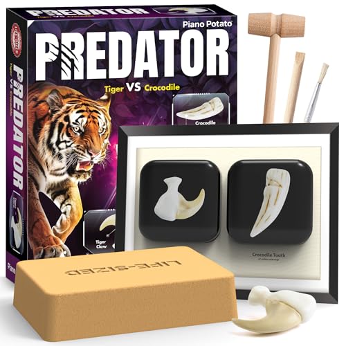 Predator Excavation Kit - Tiger vs Crocodile Fossil Dig Kit for Kids - Discover 2 Life-Sized Replicas: Tiger Claw & Crocodile Tooth - STEM Educational Science Toy for Boys & Girls Ages 6+ - size: Tiger Claw & Crocodile Tooth