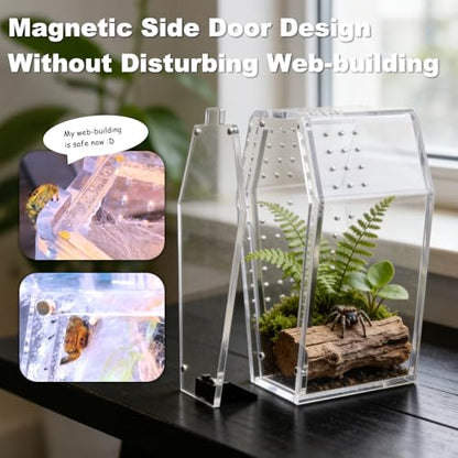 Jumping Spider Enclosure Kit, Accessories Terrarium 6PCS-Blue | Blue Water Feeder, Star Hide, Air-Permeable, Gap-Free Design, Escape-Proof for Tarantula, Beetle and Small Reptiles - color: Blue