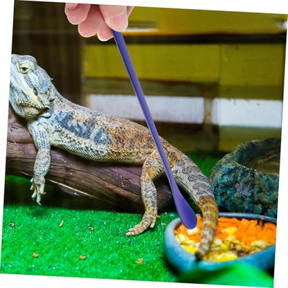 2pcs Stainless Steel Feeding Spoon for Reptiles for Lizard Food and Small Pets Lightweight Design Feeding Tool for Bearded Dragons and Other Pets - color: Blue