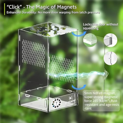 Jumping Spider Enclosure, Acrylic Spider Terrarium with Magnetic Door, Side-Opening, Laser-Cut Biomimetic Ventilation System, Escape-Proof for Feeder Insects (6.5"x6.5"x12") - size: 6.5"x6.5"x12" - Side-opening