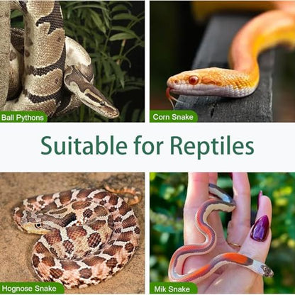 Snake Climbing Rings for Ball Python Corn Snake, Reptile Enrichment Toys for Snake, Ball Python Tank Decor, Reptile Tank Accessories for Bearded Dragon,Lizard,Swing Climbing Hoop Chain(Green)