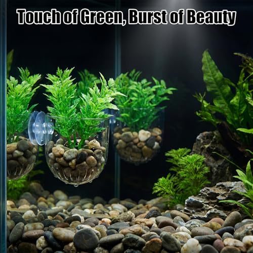 3 Pcs Aquarium Plant Holder for Java Fern Live Plant for Aquarium Suction Cup Clear Acrylic Fish Tank Aquascape for Moss Balls Marimo Betta Shrimp Decor Accessories Anubias Java Moss Cup
