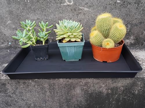 VUWEZ Plant Saucer Growing Tray, Seed Starter Tray Rectangular, Heavy Sturdy Plastic Plant Drainage Saucers, Plant Drip Trays for Pots, Seed Starter Growing Trays (11 x 9 inch, 2 Pack) - color: Black, size: 11'' x 9'' x 1.2'' (2 pack)