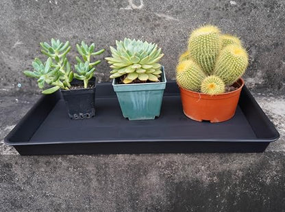 VUWEZ Plant Saucer Growing Tray, Seed Starter Tray Rectangular, Heavy Sturdy Plastic Plant Drainage Saucers, Plant Drip Trays for Pots, Seed Starter Growing Trays (11 x 9 inch, 6 Pack) - color: Black, size: 11'' x 9'' x 1.2'' (6 pack)