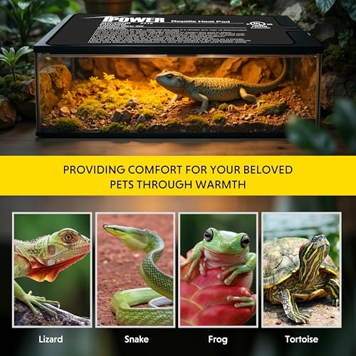 iPower 4x7 Inch Reptile Heating Pad with LCD Digital Aquarium Thermometer, Under Tank Heater Warmer Heat Mat for Turtles, Lizards, Frogs, Snakes - color: Black/Heat Pad + Thermometer, size: 4" x 7"