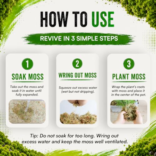 1.1LB Natural Long Fiber Sphagnum Moss Compressed Brick Expands to 30QT, Premium Orchid Moss for Repotting, Carnivorous Plants, Propagation, Moss Pole, Terrarium, Indoor Outdoor Gardening - size: 1.1LB