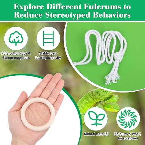 Snake Climbing Vines with Jungle Vines Kit for Reptiles | Snake Enclosure Accessories for Ball Pythons, Corn Snakes, Bearded Dragon, Chameleon, Lizard, Snake Enrichment Toys