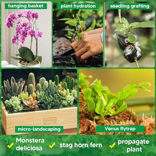 Natural Long Fiber Sphagnum Moss 42QT for Orchid Potting Mix, and Moss Pole for Plants Indoor. Ideal for Propagating Plants, Maintaining Humidity for Reptiles, Isopods in Paludarium, Aquascape (12 OZ) - size: 12 OZ