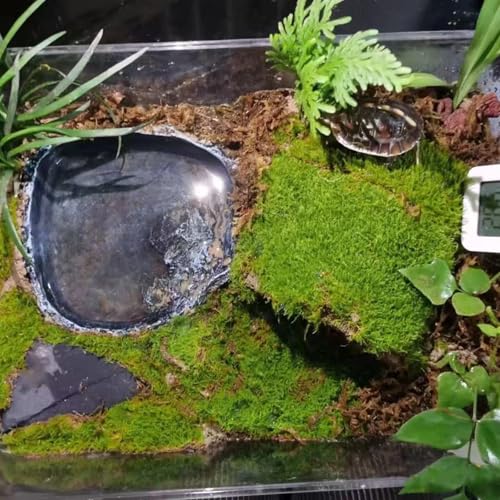 RUIAN Reptile Feeding Bowl Dish Bearded Dragon Food Water Terrarium Dish for Lizards, Geckos, Snakes, Tortoises, Chameleons(Large) - color: Deep blue