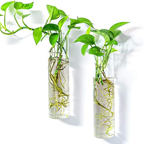Kingbuy Wall-Mounted Plant Terrarium Propagation Station - 2 Cylinder Hanging Glass Tubes Planter for Hydroponic Plants, Indoor Wall Vases & Decorative Plant Holder Bathroom Office Living Room Decor - color: Long Cylinder