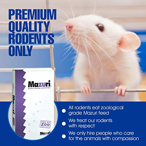 MiceDirect- 10 Rat Weanlings- Fresh Fast Frozen Food Feeders for SubAdult Ball Python Red Tail Boa Monitor Lizard Birds of Prey Pet Reptiles - size: 3.5-4.5 in (Pack of 10)