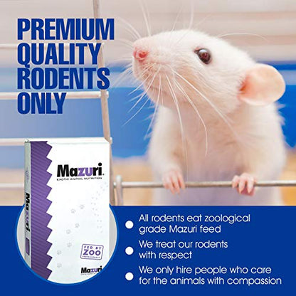 MiceDirect- 40 Rat Weanlings- Fresh Fast Frozen Food Feeders for SubAdult Ball Python Red Tail Boa Monitor Lizard Birds of Prey Pet Reptiles - size: 3.5-4.5 in (Pack of 40)