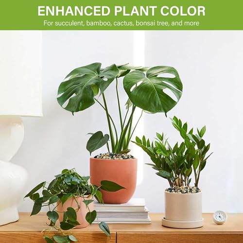 NUPICK 3 lb Aquarium Gravel, 1/4" Ph-Natural Pea Gravel for Fish Tank | Small River Rocks for Plants, Decorative Aquarium Pebbles for Vase, Landscaping, Succulent, Cactus, Terrarium, Bird Bath - size: 3 lb