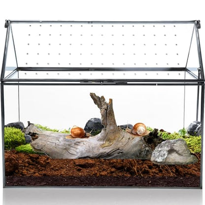 Geometric Glass Terrarium with Acrylic Lid, House Shape Black Terrarium with Breathing Holes for Snails, Succulent, Cacti, Air Plants, 10.3x8.3x5.9 inch (Terrarium Only)