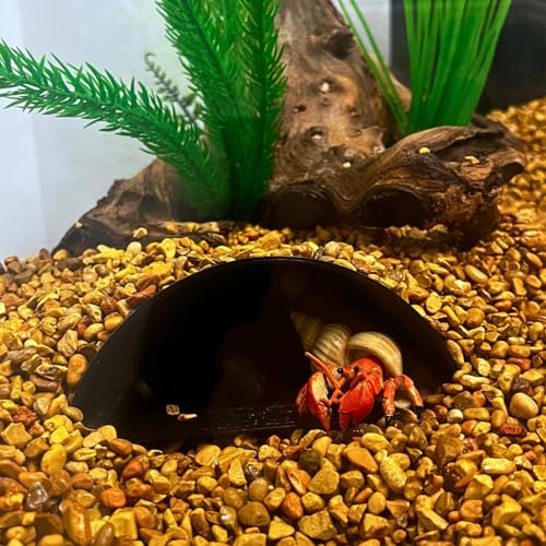 REEFSHAPE Aquarium or Terrarium Pocket Cave | Minimalist Shelter Cave for Fish, Shrimp, Reptiles, Amphibians, & More! | Made in USA (Pocket Cave, Black) - style: Pocket Cave, Black