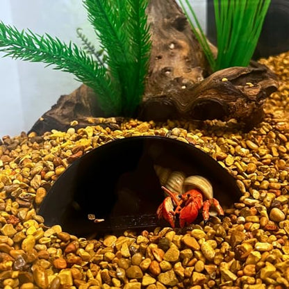 REEFSHAPE Aquarium or Terrarium Pocket Cave | Minimalist Shelter Cave for Fish, Shrimp, Reptiles, Amphibians, & More! | Made in USA (Pocket Cave, Black) - style: Pocket Cave, Black
