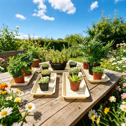Plant Saucer Tray 6.5 x 13 Inch, Heavy Sturdy Long Narrow Plastic Plant Drainage Tray No Holes, Drip Tray for Pots, Seed Starter Growing Tray, Beige - color: Beige, size: 13" x 6.5" x 1.2" (6pack)
