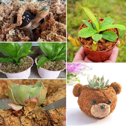 6 oz Sphagnum Moss for Plants Indoor, Long Fiber Natural Orchid Moss for Repotting Carnivorous Plants, Succulents, Monstera, Flower & Reptile Terrariums Habitats (Expands to 8 qt) - size: 6 ounces