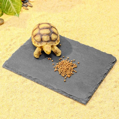 8x6 Natural Slate Basking Platform for Reptiles & Turtles | Non-slip rough slate platform for secure climbing. Holds heat to warm reptiles. feeding tray. Porous slate absorbs water - size: 8'' x 6''
