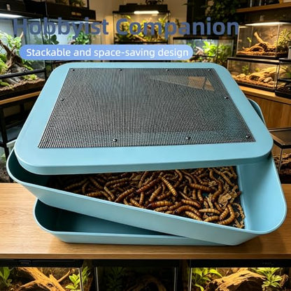 Mealworm Breeding Kit, Live Feeder Worm Farm for Reptiles, Bearded Dragons, Leopard Geckos, Birds & Chickens (L) - size: L