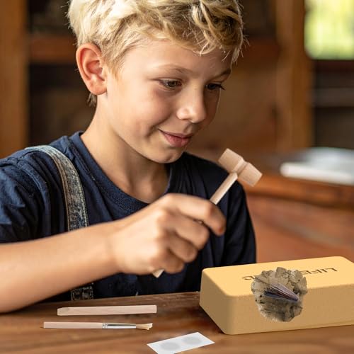 Dinosaur Dig Kit - Excavate 2 Life-Sized Fossils (T.Rex Claw & Ankylosaurus Spine) - STEM Authenticated Science Toy with Tools & Display Frame - Gifts for Boys & Girls Ages 6-12 - size: T.Rex Claw & Ankylosaurus Spine