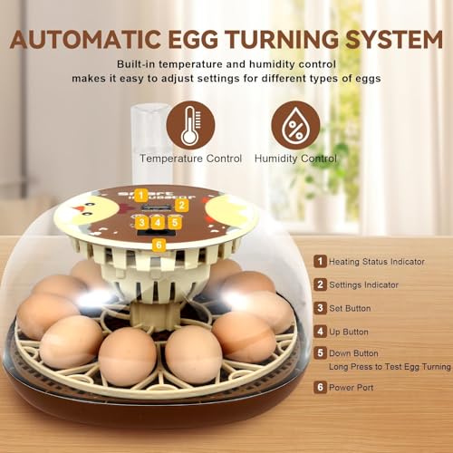 Series I-Automatic 12-Egg Incubator for Beginners, Auto Egg Turn, Steady Self-Regulating Humidity & Consistent Temperature Control for Hatching Chicken, Goose, Duck, Quail, Pigeon(12-Egg-Brown) - size: 12-Egg-Brown