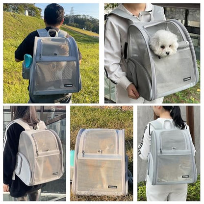 Cat Backpack Carrier for Small Dogs and Medium cat Puppy Kitten Bunny Pet Carrier Backpack Collapsible with Fully Ventilated Mesh with Safety Leash (Gray, 12.9" L x 10.62" W x 15.5" H - M) - color: Gray, size: Medium