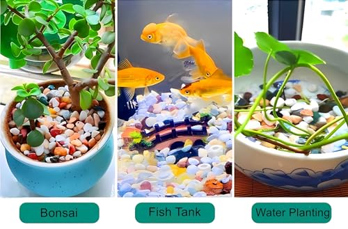 Small Aquarium Gravel for Fish Tank, Natural River Rock Pebbles for Plants Indoor, Pea Gravel for Landscaping, Aquarium Substrate (3 LBS, 0.4" to 0.8")