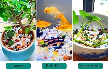 Small Aquarium Gravel for Fish Tank, Natural River Rock Pebbles for Plants Indoor, Pea Gravel for Landscaping, Aquarium Substrate (3 LBS, 0.4" to 0.8")