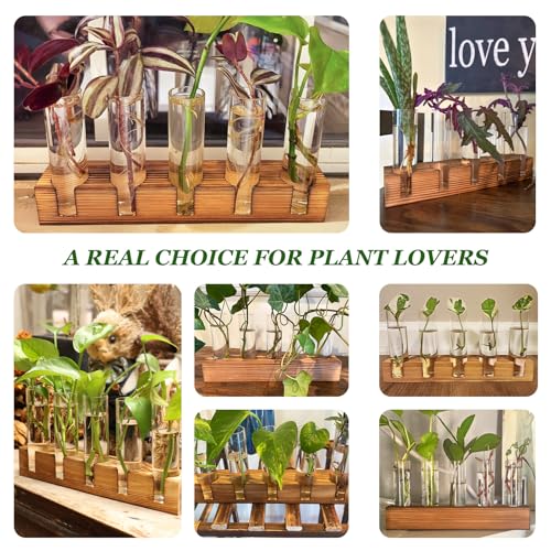 Plant Propagation Station, 10 Glass Test Tube with Wooden Stand | Plant Terrarium for Hydroponics Plants Office Decor Unique Gardening Gifts for Women Plants Lovers - size: 10 Test Tube
