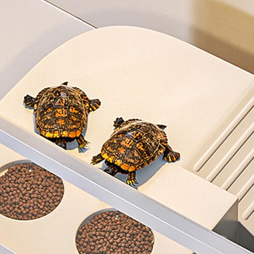 Reptile Tank Reptile Habitat Enclosure | Gecko Terrarium Tank for Spider Chameleon Tarantula Bearded Dragon Frog Snack Gecko Tortoise - color: White
