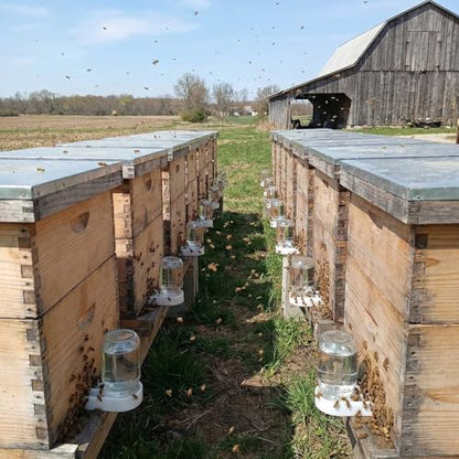 6 Pack Plastic Bee Feeders Entrance Beehive Feeder Honeybee Feeder for Hives Water or Sugar Syrup Feeding Equipment