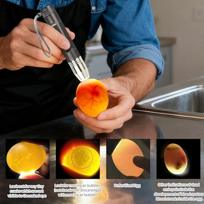 Egg Candler Light Rechargeable USB Eggs Candling Tester | Candling light for chicken eggs, egg checker incubator 5 modes, USB charging, for chicken duck quail dark eggs. - color: Gray