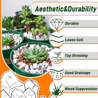 Quibbay 45LB Succulent Rocks, 1/4 Inch Polished Pebbles for Indoor Plants, Decorative River Rocks for Vases, Aquariums, Terrarium, Pea Gravel for Fish Tank, Drainage Rocks for Potted Plants, Grey