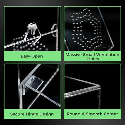 Acrylic Jumping Spider Enclosure, Secure Front Opening Door, 4x4x8 inch, Ventilated Habitat for Tarantulas, Mantis, Hermit Crabs & Small Pets