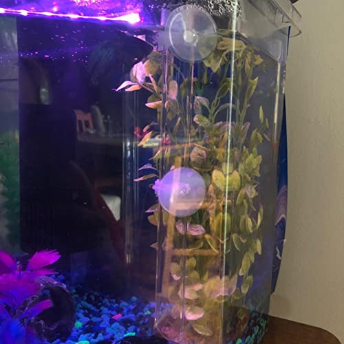 300mm Acrylic Aquarium Shrimp Feeding Tube Aquarium Clear Fish Food Feeder Tube for Fish Tank with 2pcs Suction Cups