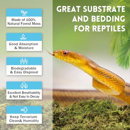 Riare 7 OZ Natural Sphagnum Moss for Reptiles, Terrarium Substrate Bedding | 6QT High Expansion, Moisture Retention, Helps Shedding, Long Fibered Dried Moss for Leopard Gecko, Snake, Frog, Turtle - color: 7 OZ