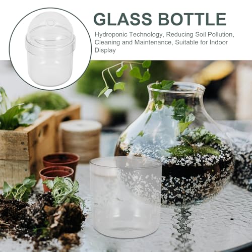 Small Plant Terrarium: Desktop Glass Terrarium Planter for Succulent, Moss, Miniature Gardening Landscape - Tiny Betta Fish Tank, Office Home Decoration