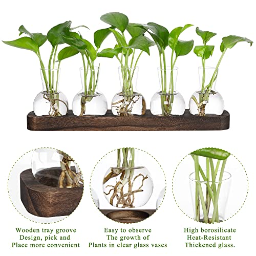 YIBOT Propagation Vases for Plants Terrarium with Wooden Tray,5 Glass Vases | Tabletop Plant Terrarium for Propagating Hydroponic, Retro Glass Planter Flower Vase Home Kitchen Office Decor Gifts - size: 5 Vase-T