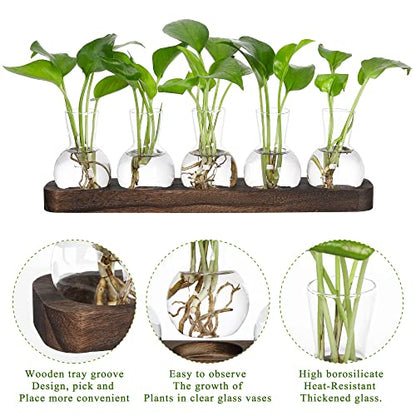 YIBOT Propagation Vases for Plants Terrarium with Wooden Tray,5 Glass Vases | Tabletop Plant Terrarium for Propagating Hydroponic, Retro Glass Planter Flower Vase Home Kitchen Office Decor Gifts - size: 5 Vase-T