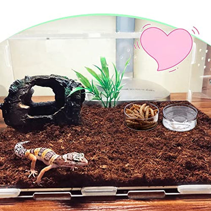 20 Pcs Small Reptile Feeding Bowl Plastic Water Bowl Food Dish for Spider Tarantula Small Reptile Lizard Gecko (Small: 1.43" D, 0.68" H)