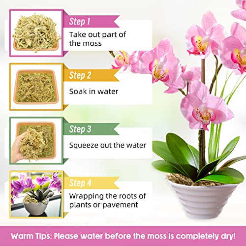 14OZ Sphagnum Moss for Plants - 16QT Natural Long Fibers Orchid Moss | Moisture Retention & Drainage Balance, Plant Moss for Orchids, Succulents, Carnivorous, Ferns, Reptile Bedding & Terrariums - size: 16 QT(14 oz)
