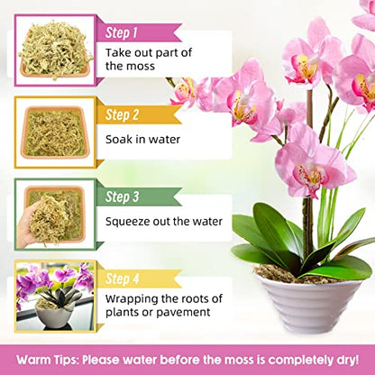 10OZ Sphagnum Moss for Plants - 12QT Natural Long Fibers Orchid Moss | Moisture Retention & Drainage Balance, Plant Moss for Orchids, Succulents, Carnivorous, Ferns, Reptile Bedding & Terrariums - size: 12 QT(10 oz)