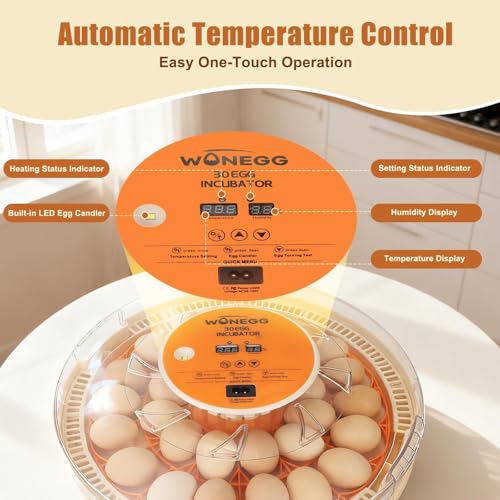 Nest II - 30 Egg Incubator for Large-Batch Hatchers, Hands-On Control, Auto Egg Turning, Manual Water Fill, Consistent Temp, Real-Time Display, Candler for Chicken, Goose, Duck, Quail, Pigeon, Turkey - size: 30 Egg [Orange]