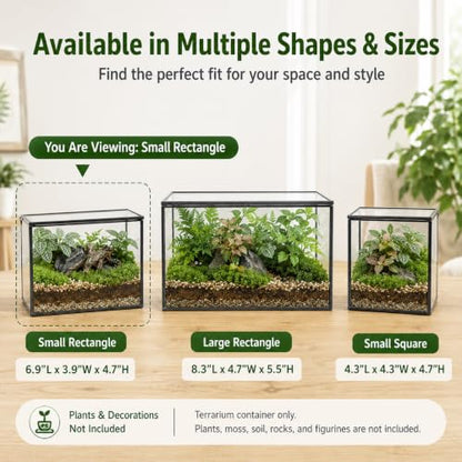 Small Glass Terrarium with Lid, Rectangle Geometric Planter Box, Clear Glass Container for Succulents, Moss, Air Plants, Ferns, Cactus, Tabletop Plant Display Decor, 6.7 x 3.9 x 4.7 in - size: Small Rectangle